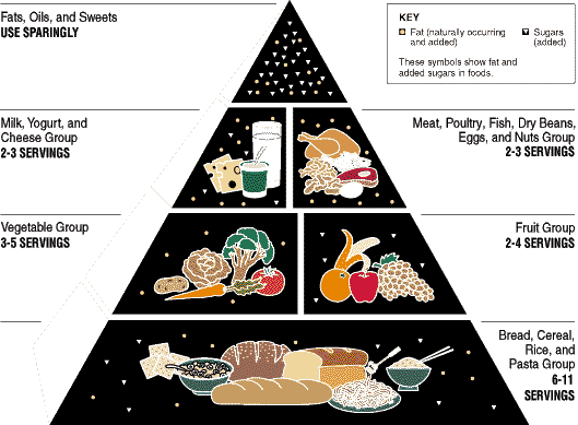 food Pyramid