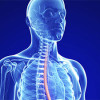 Barretts esophagus Los Angeles Barretts esophagus Los Angeles
