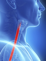 best gi doctor in los angeles best gi doctor in los angeles