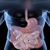 best gastroenterologist los angeles best gastroenterologist los angeles