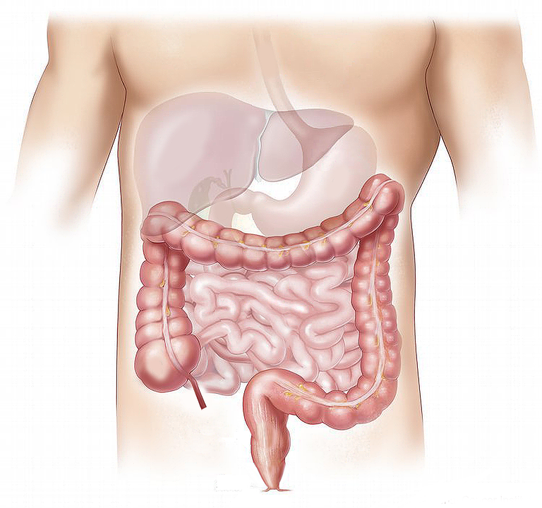 best gastroenterologist los angeles