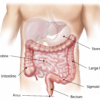 Colonoscopy Doctor Los Angeles Colonoscopy Doctor Los Angeles
