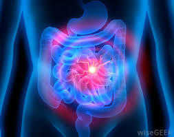 fructose intolerance test