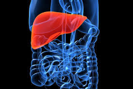 best gastroenterologist los angeles best gastroenterologist los angeles