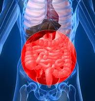 best gastroenterologist los angeles best gastroenterologist los angeles