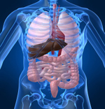 H.-Pylori-and-Ulcers-copy hiatal hernia