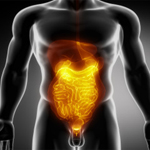 Anatomy of abdomen hiatal hernia