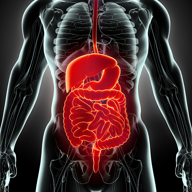 upper gastrointestinal endoscopy