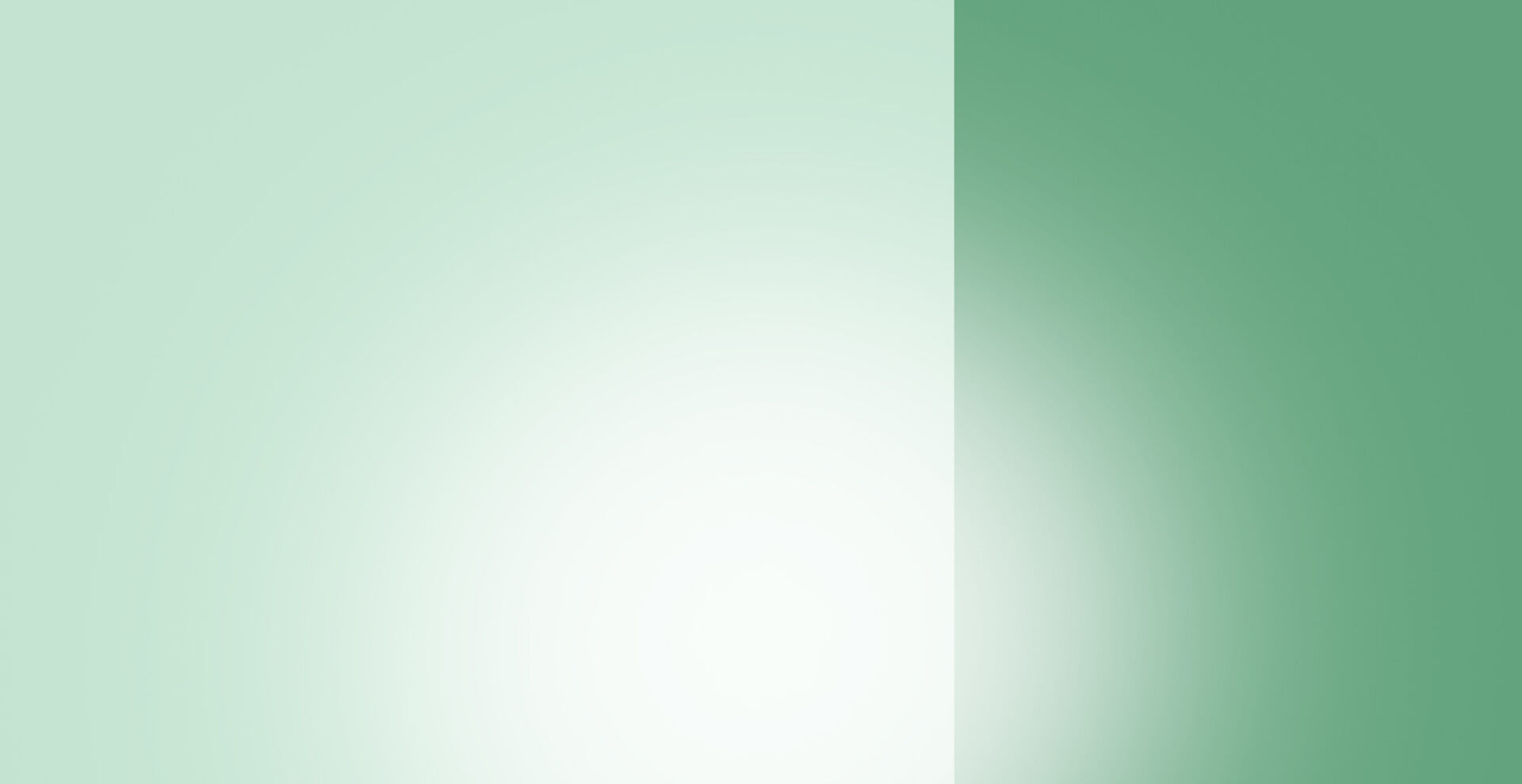banner-image1_03